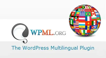 WPML 多语言内容管理系统