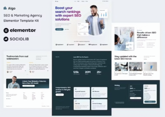 Algo - SEO & Marketing Agency Elementor Template Kit