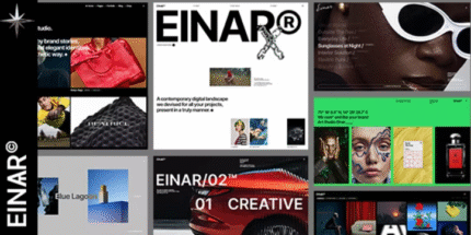 Einar – Design Agency WordPress Theme
