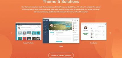 Plataforma BuddyBoss