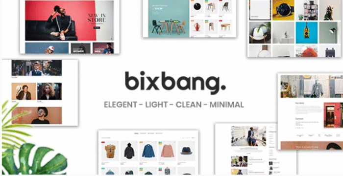 Bixbang – Minimalist eCommerce WordPress Theme for WooCommerce