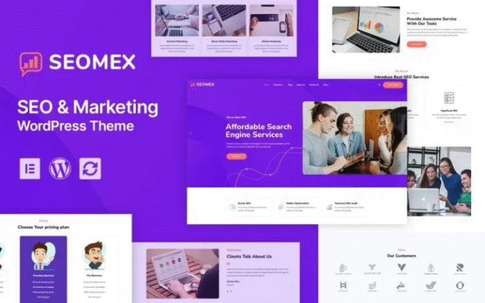SEOMEX – SEO Agency & Online Marketing WordPress Theme
