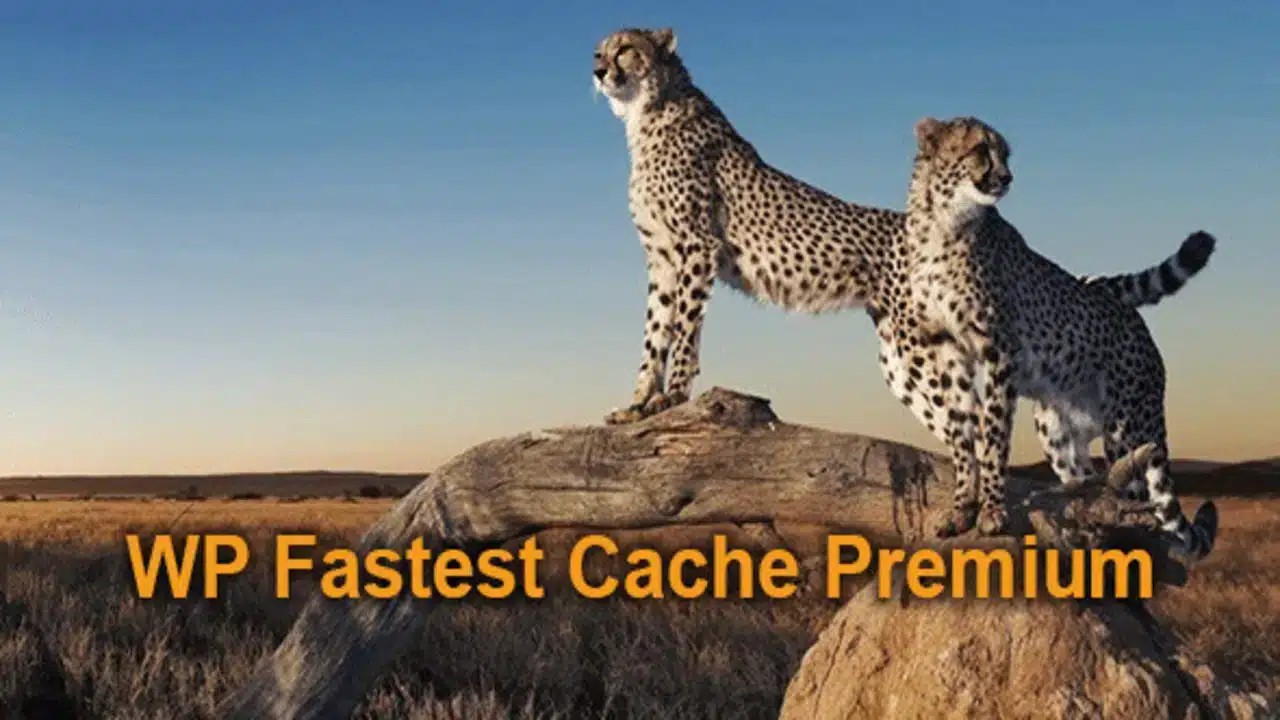 WP Fastest Cache Premium WP Fastest Cache Premium
