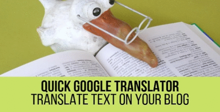 Traductor rápido de Google