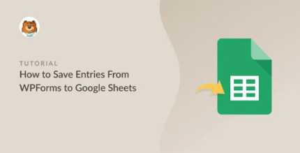 Complemento WPForms Google Sheets
